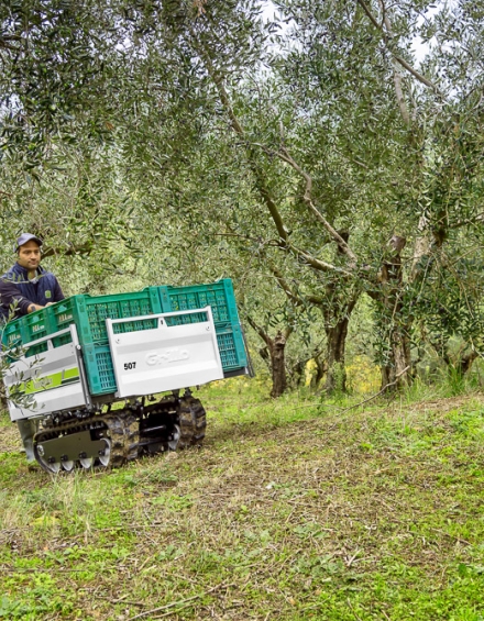 Grillo Dumper 507