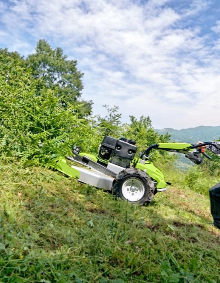 CL 75