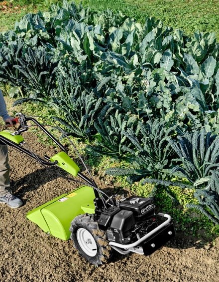 Grillo G 46
