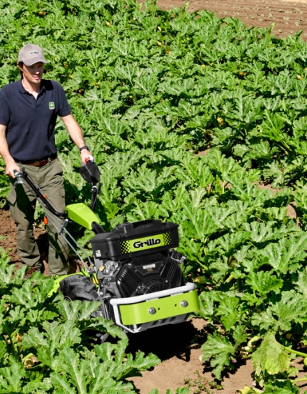 Grillo G 131 BC