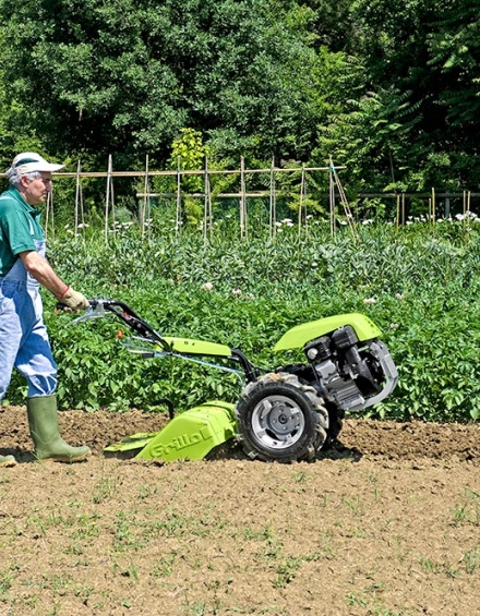 Grillo G 107d
